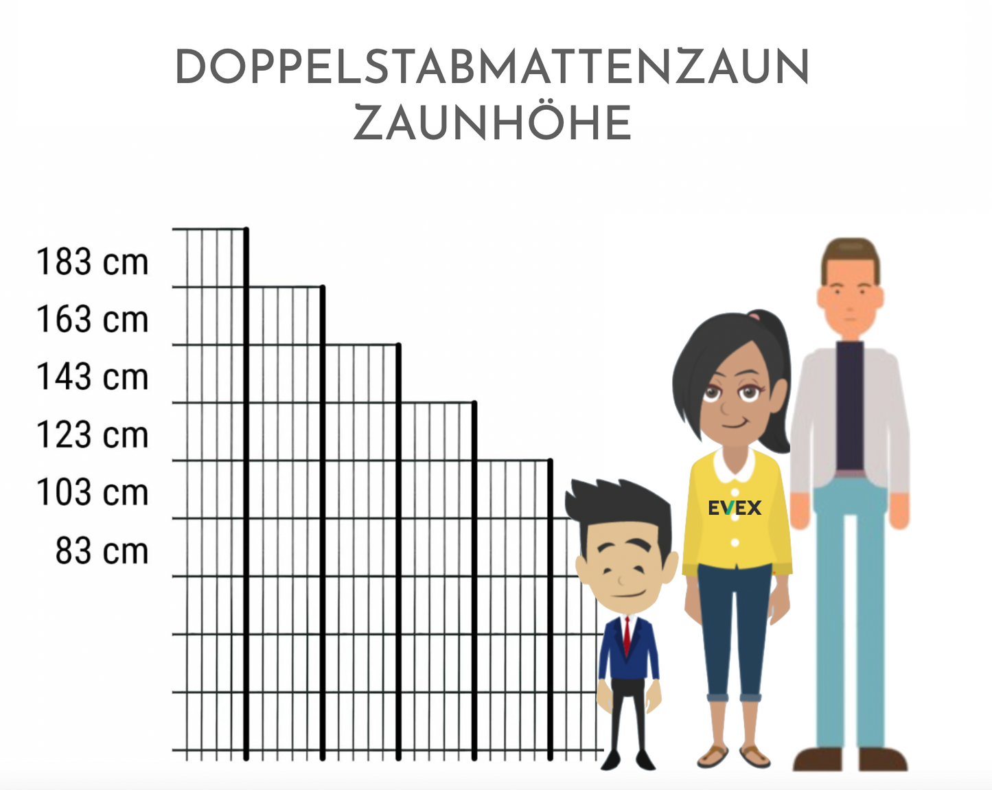 Doppelstabmattenzaun 6/5/6