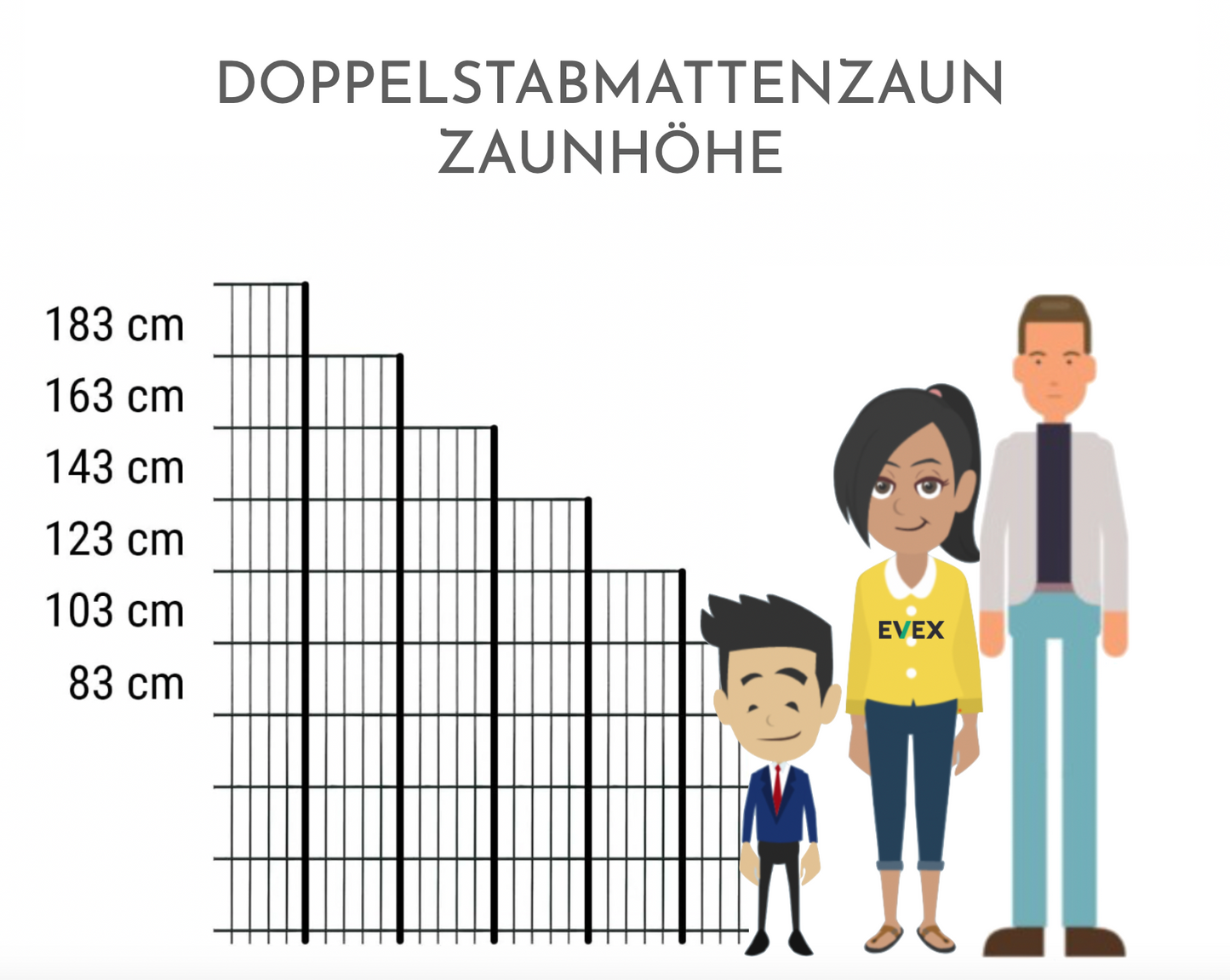 Doppelstabmattenzaun 8/6/8